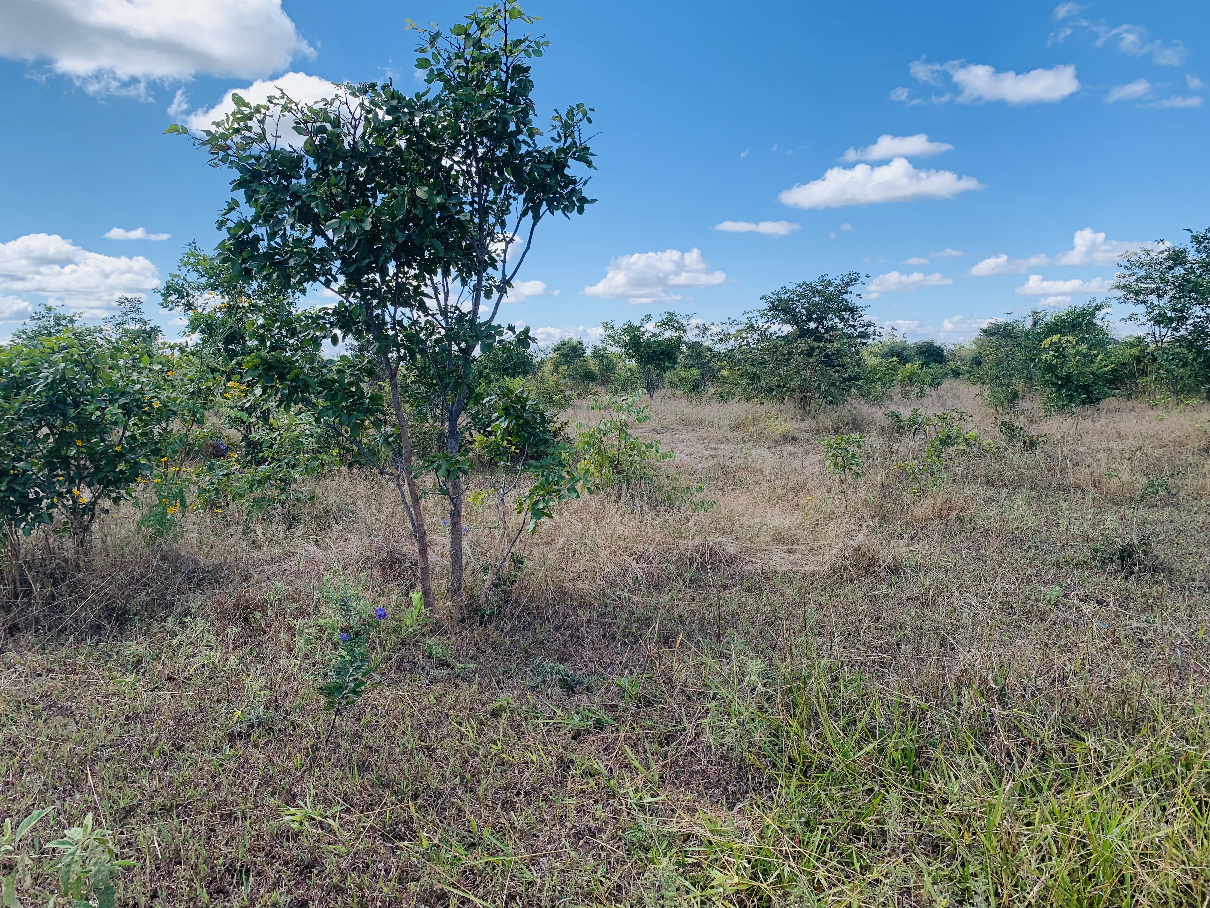 Property Thumbnail